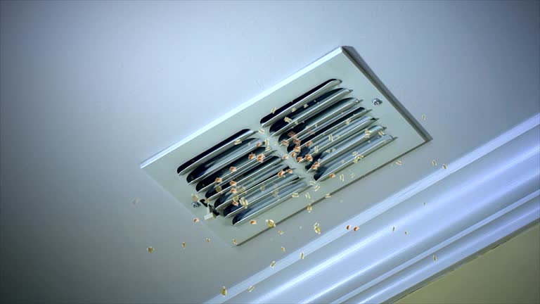 Best HVAC Air Duct Cleaning  in Lake Catherine, IL
