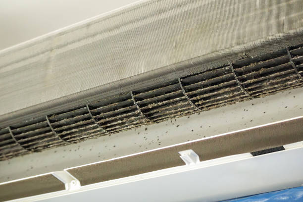 Best Ductwork Cleaning Services  in Lake Catherine, IL