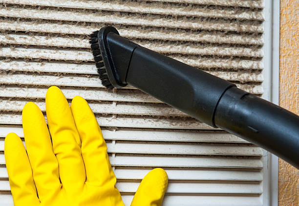 Best General Air Duct Cleaning  in Lake Catherine, IL